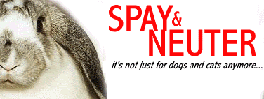SPAY.gif image by jmhgraphs